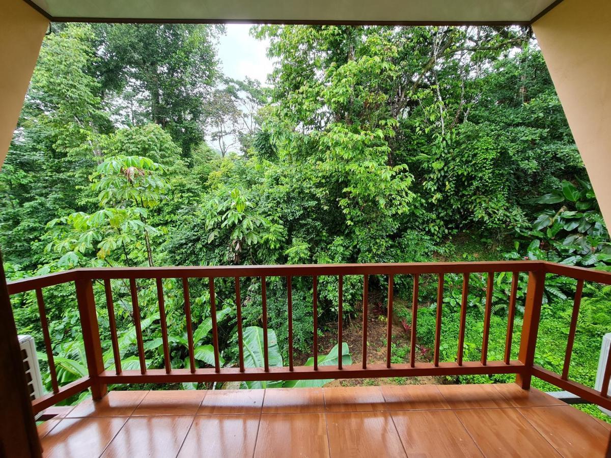Drakes Bay Ceiba Lodge מראה חיצוני תמונה