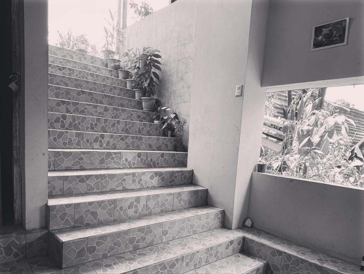 Drakes Bay Ceiba Lodge מראה חיצוני תמונה