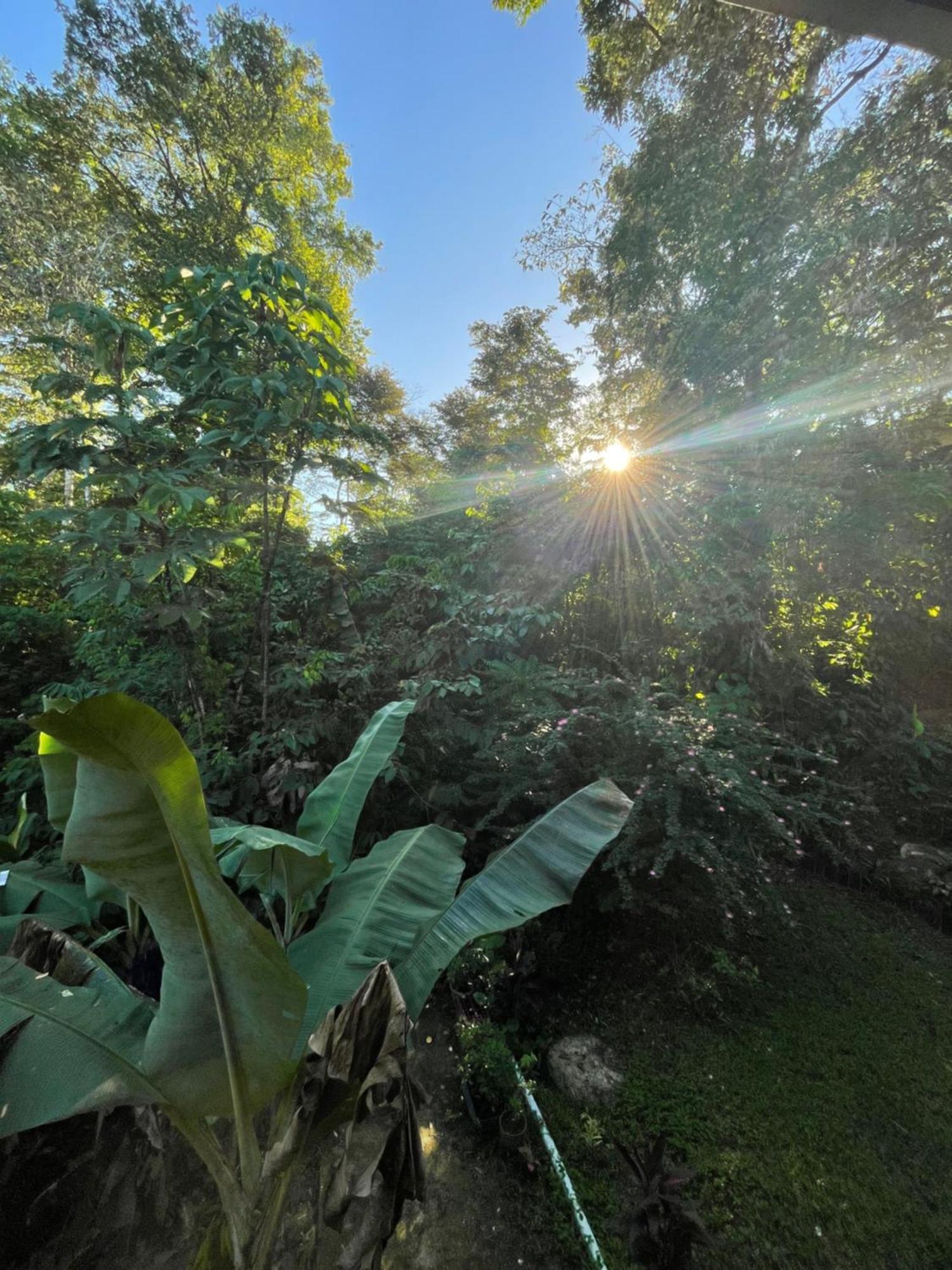 Drakes Bay Ceiba Lodge מראה חיצוני תמונה
