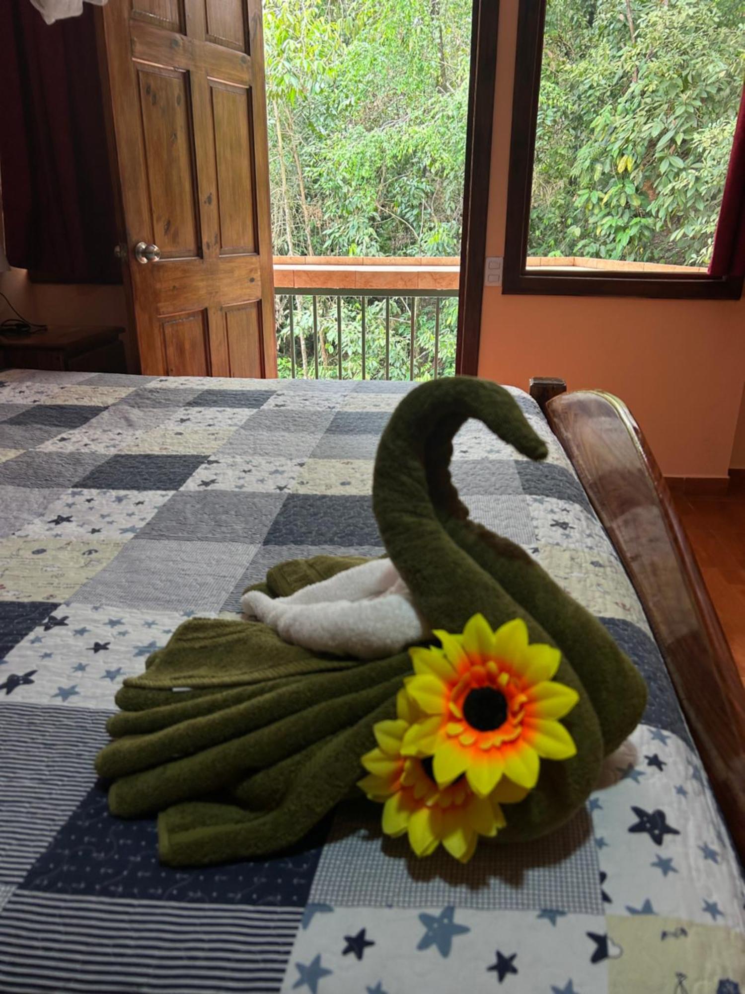 Drakes Bay Ceiba Lodge מראה חיצוני תמונה